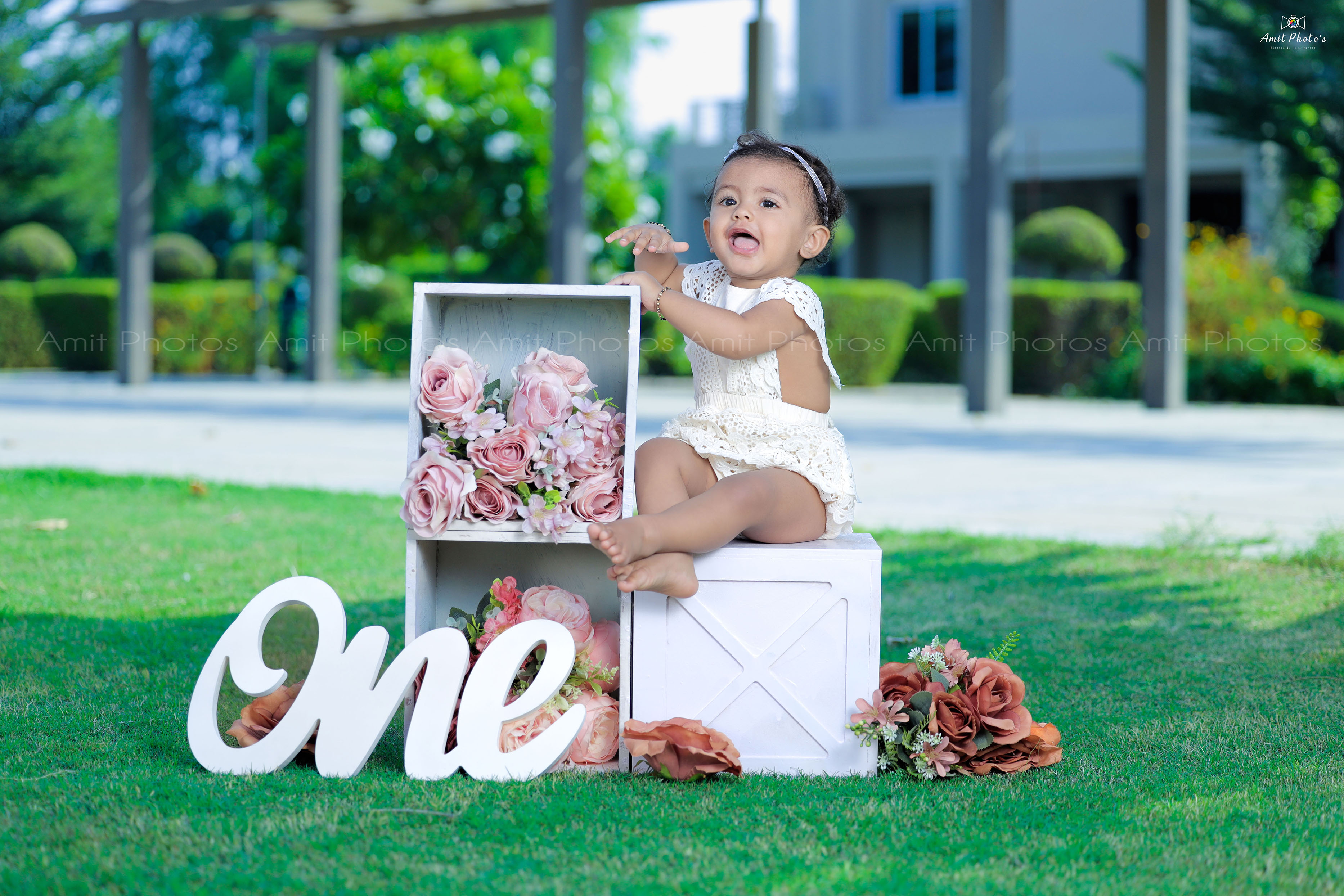 wedd-image